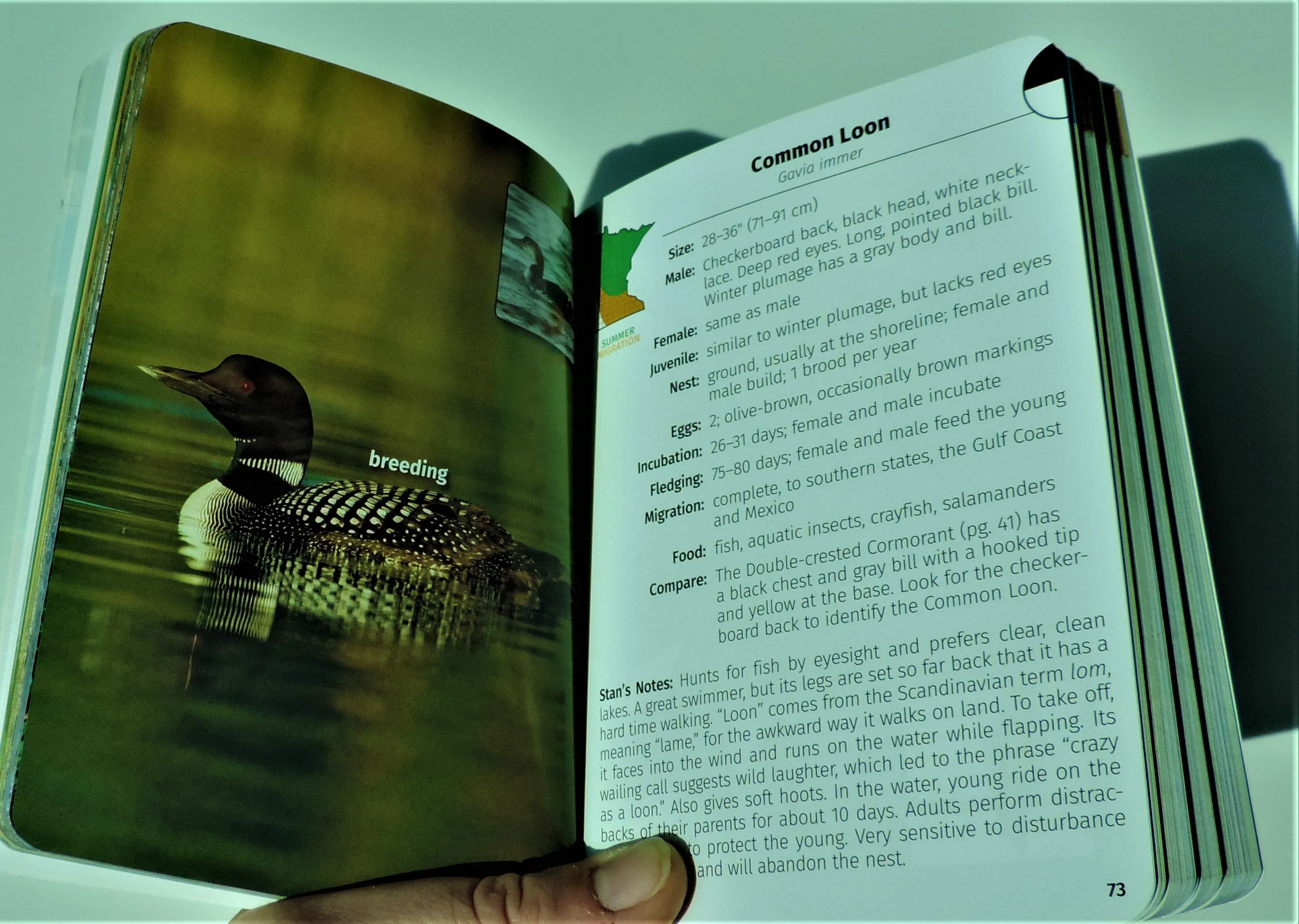 Book - Birds of Minnesota