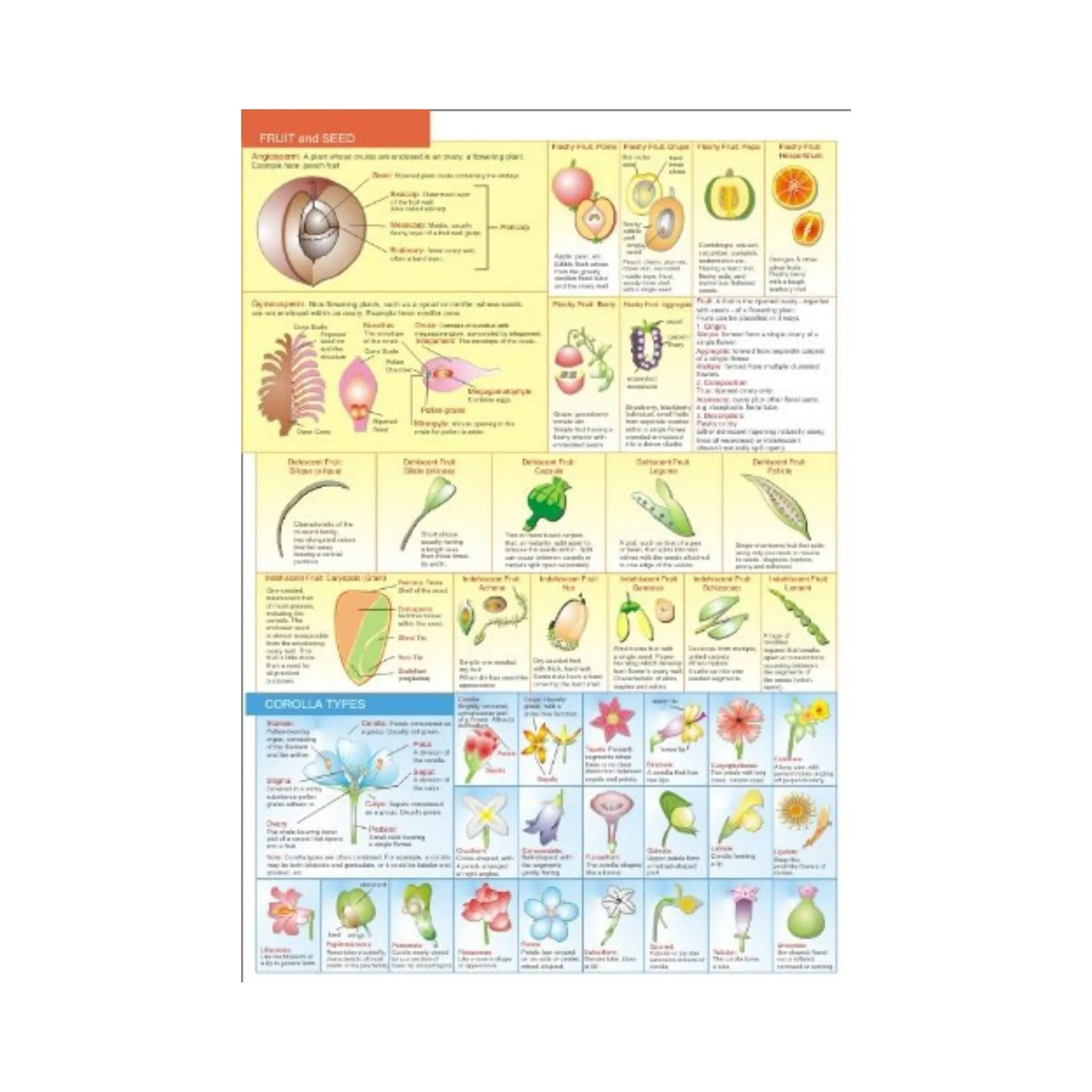 Botanical Field Guide