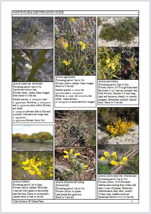 Field Guide to Hi Vallee Farm
