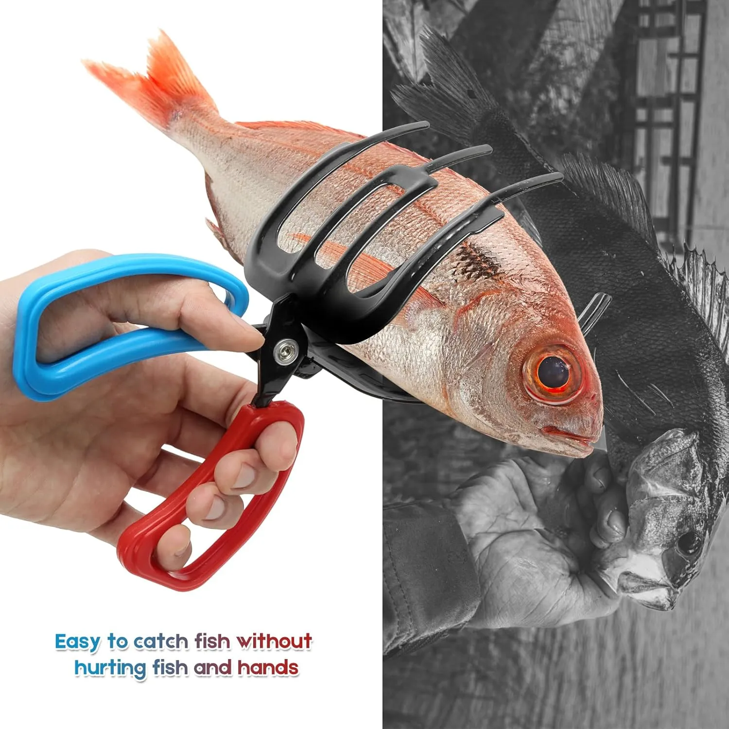 Fish Claw Gripper, Fishing Pliers Gripper, Claw Fish Gripper, Metal Fish Control Clamp Tong Tackle Tool, Multi-Functional Lightweight Non-Slip Fish Claw Gripper for Catch Fish Fishing Accessories