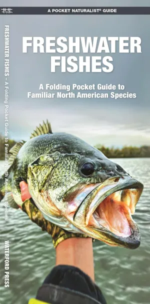 Freshwater Fishes: A Folding Pocket Guide to Familiar North American Species (Nature Observation North America) Pamphlet  August 21, 2024