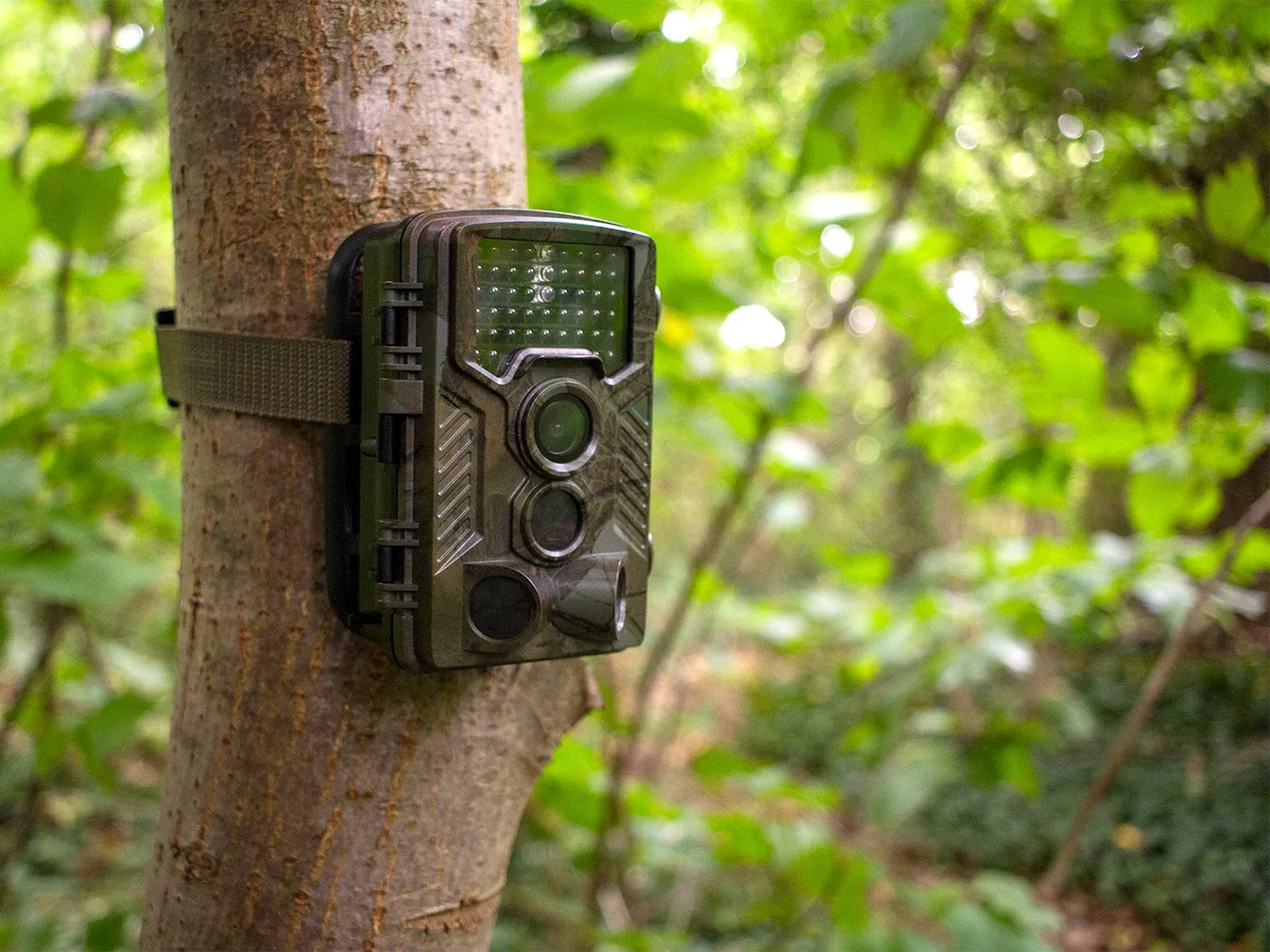 Garden Wildlife Trail Camera HD Ultimate Bundle