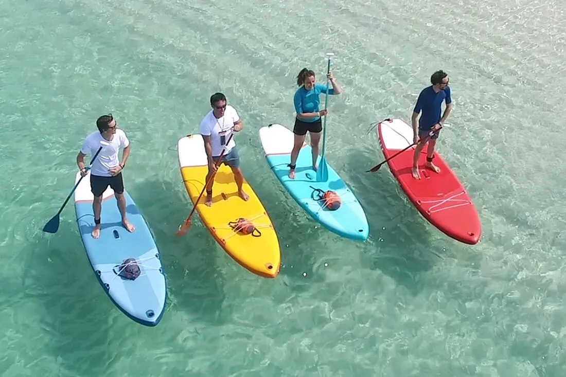 Kayak/SUP No Tools Required Fin