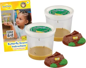 Two Cups of Caterpillars - Life Science & STEM Education - Butterfly Kit Refill  Painted Lady Butterflies  Includes Two Chrysalis Holding Logs Instructions - Butterfly Lifecycle Observation