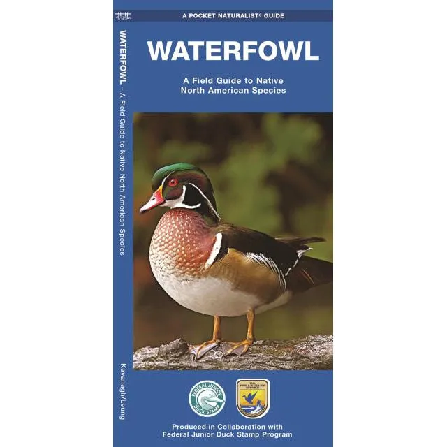Waterfowl: A Field Guide to Native North American Species